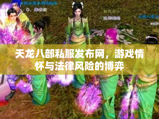 天龙八部私服发布网，游戏情怀与法律风险的博弈