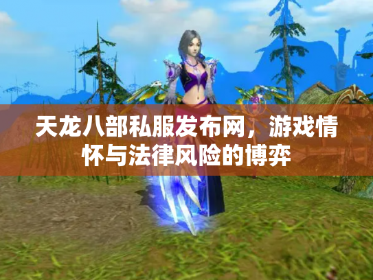 天龙八部私服发布网，游戏情怀与法律风险的博弈