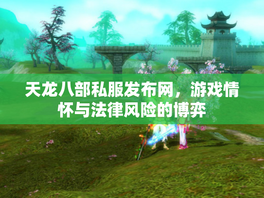 天龙八部私服发布网，游戏情怀与法律风险的博弈