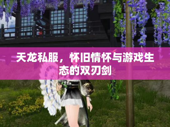 天龙私服，怀旧情怀与游戏生态的双刃剑