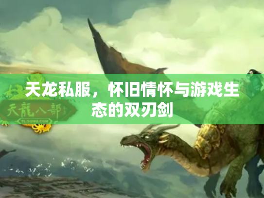 天龙私服，怀旧情怀与游戏生态的双刃剑