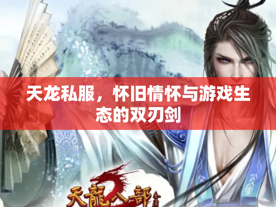 天龙私服，怀旧情怀与游戏生态的双刃剑