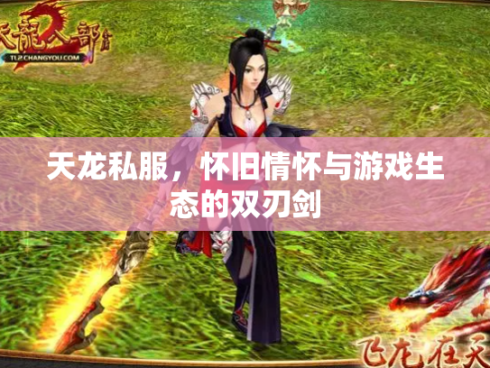 天龙私服，怀旧情怀与游戏生态的双刃剑