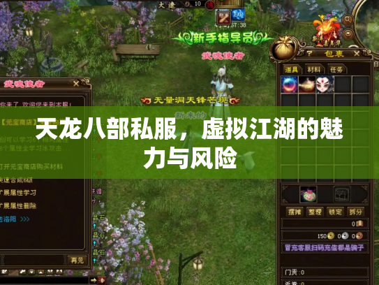 天龙八部私服，虚拟江湖的魅力与风险