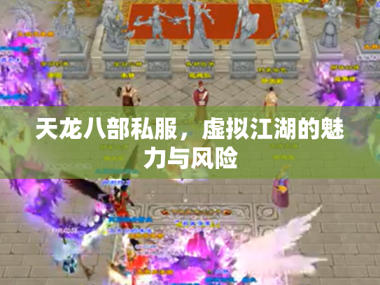 天龙八部私服，虚拟江湖的魅力与风险