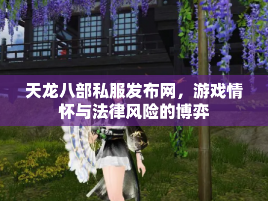 天龙八部私服发布网，游戏情怀与法律风险的博弈