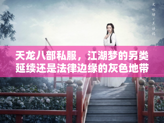 天龙八部私服，江湖梦的另类延续还是法律边缘的灰色地带？
