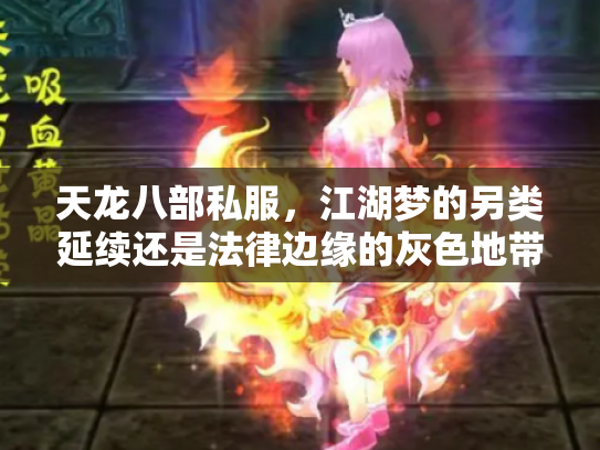 天龙八部私服，江湖梦的另类延续还是法律边缘的灰色地带？