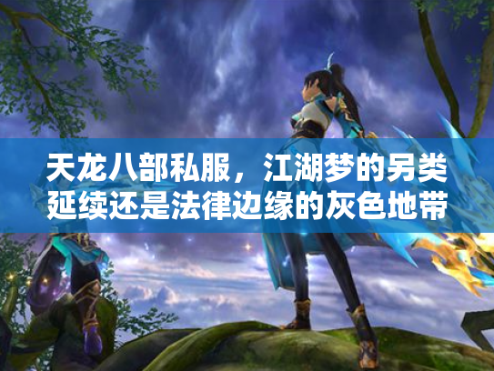 天龙八部私服，江湖梦的另类延续还是法律边缘的灰色地带？