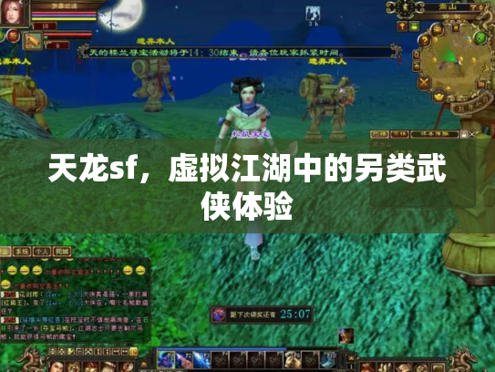 天龙sf，虚拟江湖中的另类武侠体验