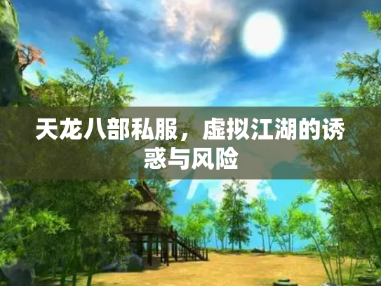 天龙八部私服，虚拟江湖的诱惑与风险
