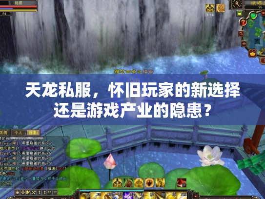 天龙私服，怀旧玩家的新选择还是游戏产业的隐患？