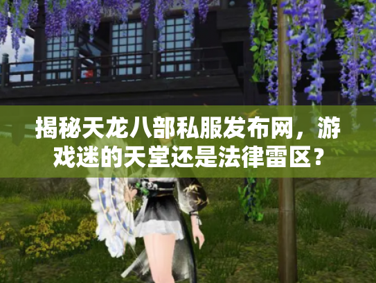 揭秘天龙八部私服发布网，游戏迷的天堂还是法律雷区？