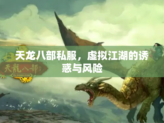 天龙八部私服，虚拟江湖的诱惑与风险