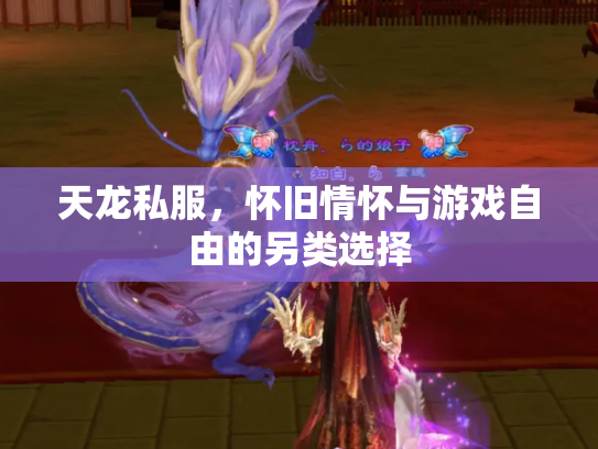 天龙私服，怀旧情怀与游戏自由的另类选择