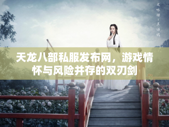 天龙八部私服发布网，游戏情怀与风险并存的双刃剑