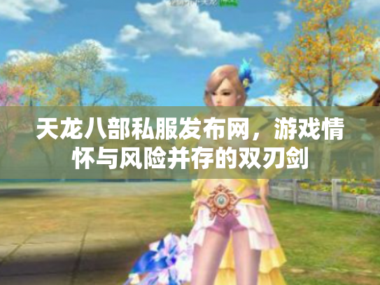 天龙八部私服发布网，游戏情怀与风险并存的双刃剑