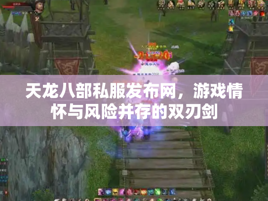 天龙八部私服发布网，游戏情怀与风险并存的双刃剑