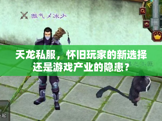 天龙私服，怀旧玩家的新选择还是游戏产业的隐患？