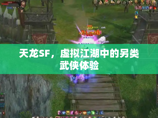 天龙SF，虚拟江湖中的另类武侠体验