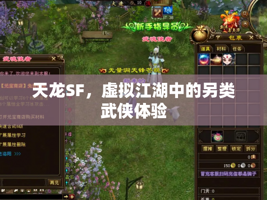 天龙SF，虚拟江湖中的另类武侠体验