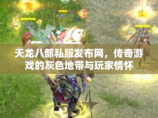 天龙八部私服发布网，传奇游戏的灰色地带与玩家情怀