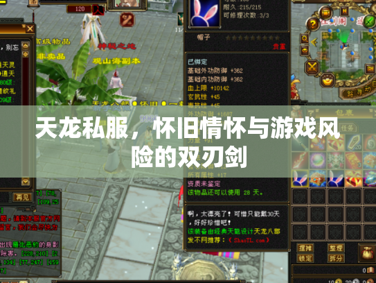 天龙私服，怀旧情怀与游戏风险的双刃剑