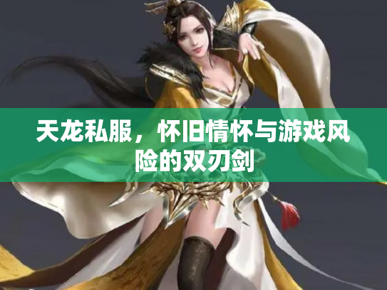 天龙私服，怀旧情怀与游戏风险的双刃剑