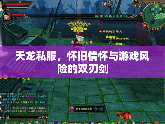 天龙私服，怀旧情怀与游戏风险的双刃剑