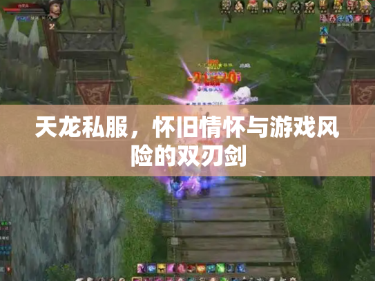 天龙私服，怀旧情怀与游戏风险的双刃剑