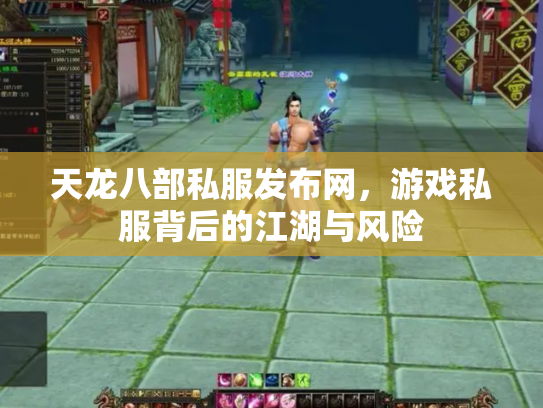 天龙八部私服发布网，游戏私服背后的江湖与风险