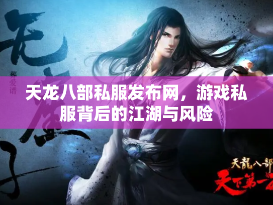 天龙八部私服发布网，游戏私服背后的江湖与风险
