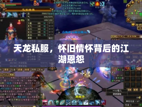 天龙私服，怀旧情怀背后的江湖恩怨