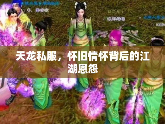 天龙私服，怀旧情怀背后的江湖恩怨