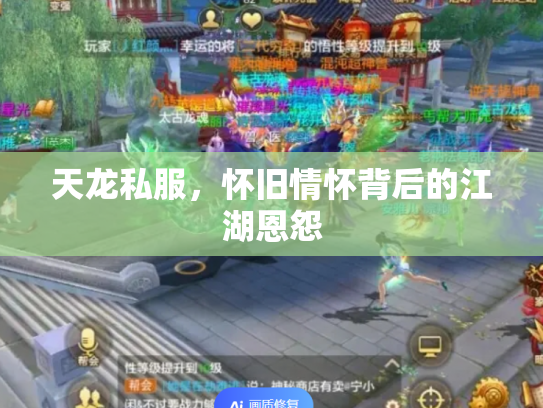 天龙私服，怀旧情怀背后的江湖恩怨