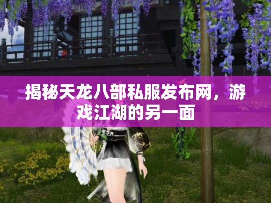 揭秘天龙八部私服发布网，游戏江湖的另一面