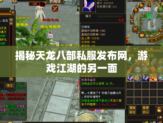 揭秘天龙八部私服发布网，游戏江湖的另一面