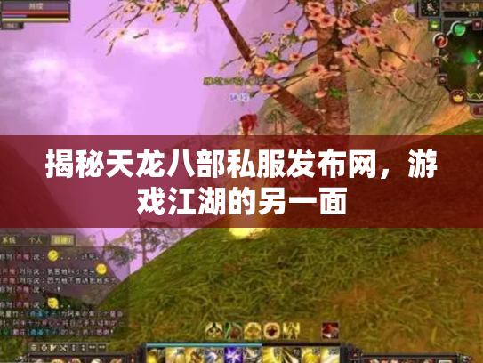揭秘天龙八部私服发布网，游戏江湖的另一面