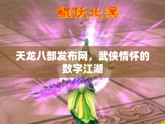 天龙八部发布网，武侠情怀的数字江湖