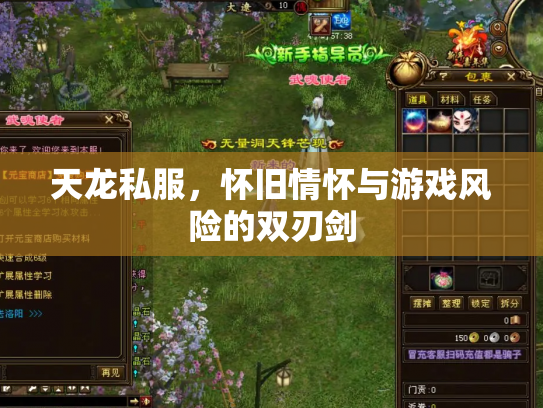天龙私服，怀旧情怀与游戏风险的双刃剑