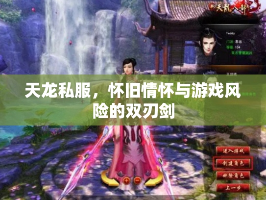 天龙私服，怀旧情怀与游戏风险的双刃剑