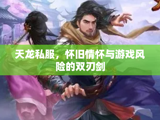 天龙私服，怀旧情怀与游戏风险的双刃剑