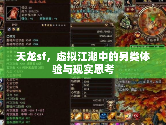 天龙sf，虚拟江湖中的另类体验与现实思考