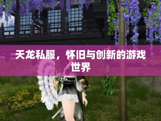 天龙私服，怀旧与创新的游戏世界