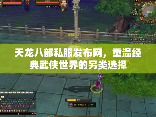 天龙八部私服发布网，重温经典武侠世界的另类选择