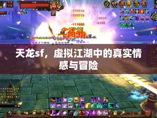 天龙sf，虚拟江湖中的真实情感与冒险