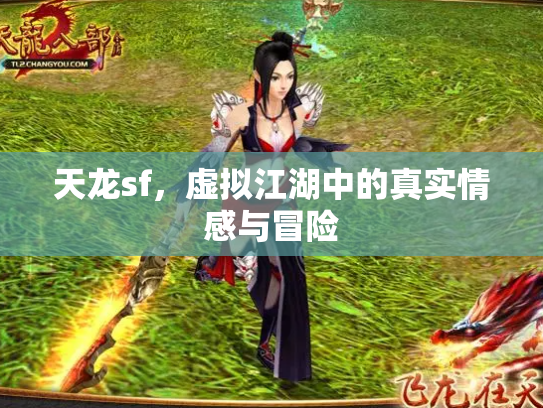 天龙sf，虚拟江湖中的真实情感与冒险