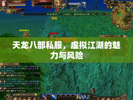 天龙八部私服，虚拟江湖的魅力与风险
