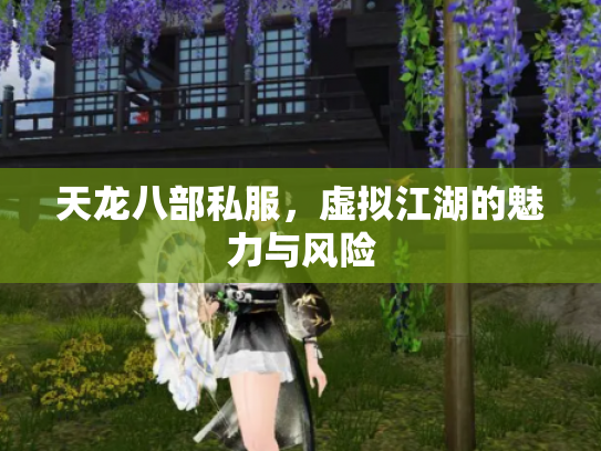 天龙八部私服，虚拟江湖的魅力与风险