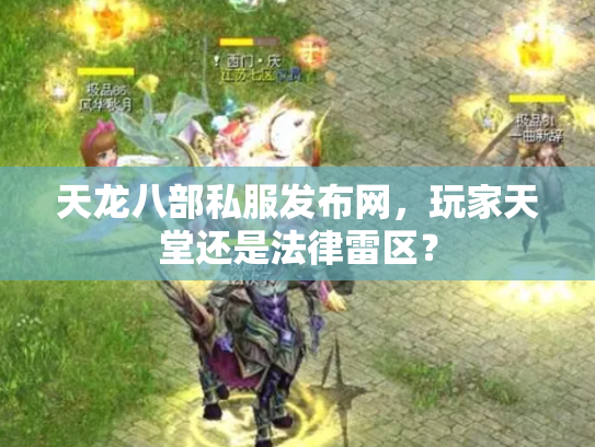 天龙八部私服发布网，玩家天堂还是法律雷区？